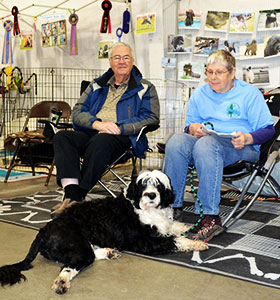 HumDog Dog Expo image